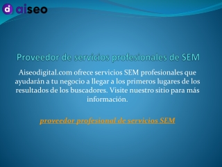 Proveedor de servicios profesionales de SEM  aiseodigital.com