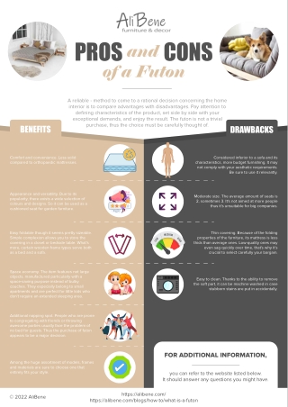 pros_cons_futon