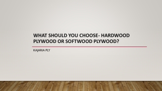 What Should You Choose- Hardwood Plywood or Softwood