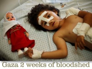 2014 Gaza 2 weeks of bloodshed