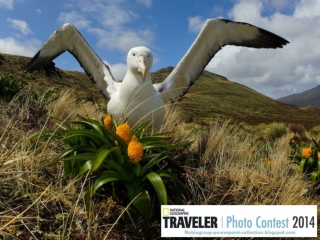 NG Traveler Photo Contest 2014 (part 11)