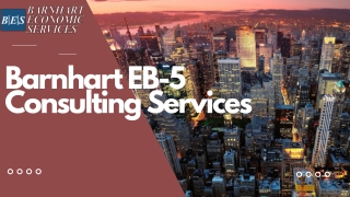 Get The Best Barnhart Eb-5 Consulting Services In FL