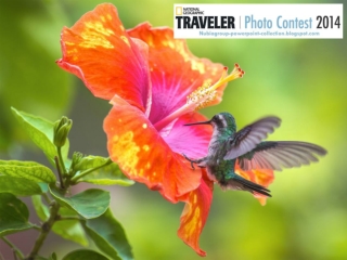 NG Traveler Photo Contest 2014 (part 13)