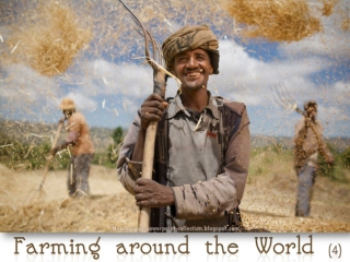 Farming around the World (4)