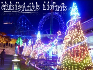 Christmas Lights (6)