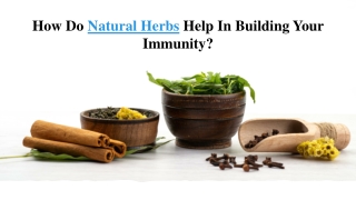 Natural Herbs Help In Building Your Immunity