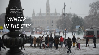 Winter in the City - Vienna