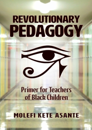 DOWNLOA T  Revolutionary Pedagogy