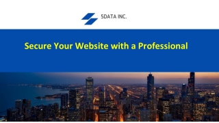 Secure Your Website with a Professional | 5Data Inc