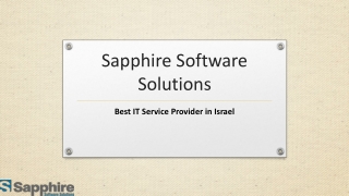 Best IT Service Provider in Israel