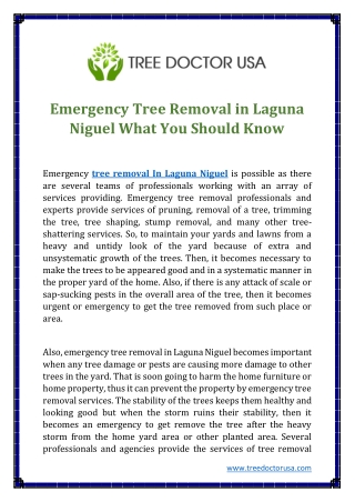 Emergency Tree Removal in Laguna Niguel What You Should Know