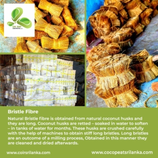 Erosion Control Blanket (COCONUT COIR BLANKET / MAT)