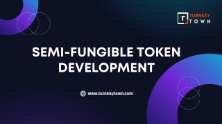 Semi-Fungible Token Development