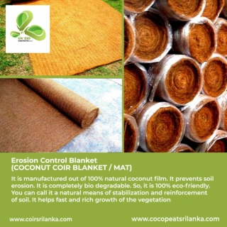 Bristle Fibre