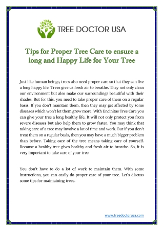 Tips for Proper Tree Care to ensure a long and Happy Life for Your Tree