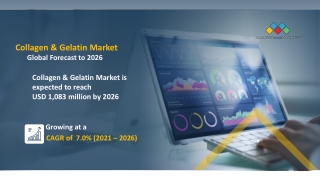 Collagen & Gelatin Market