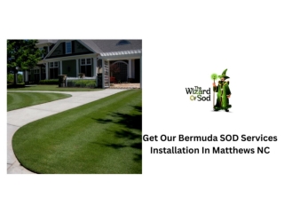 Get Our Bermuda SOD installation services in Matthews NC