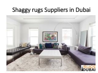 Shaggy Rugs Suppliers In Dubai