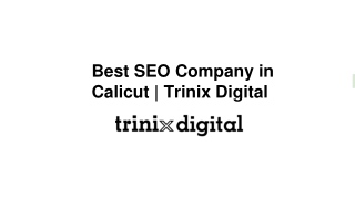Best SEO Company in Calicut _ Trinix Digital