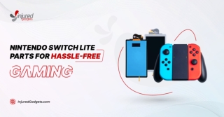 How to Use Nintendo Switch Lite Parts
