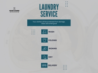 Deluxe Cleaners laundry Service PPT