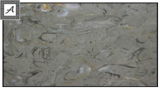 The Best Quality of Arabescato Marble Is Here at Amso International