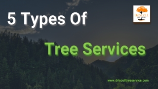 5 Types Of Tree Services