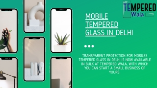 Mobile Tempered Glass in Delhi