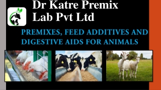Premixes, feed additives and digestive aids for animals by Dr Katre Premix Lab Pvt Ltd