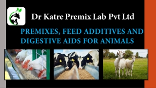 Premixes, feed additives and digestive aids for animals by Dr Katre Premix Lab Pvt Ltd