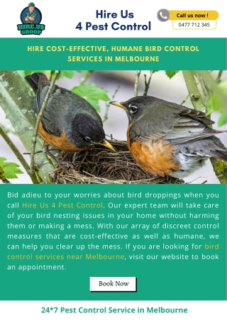 Hire Cost-effective, Humane Bird Control Services in Melbourne
