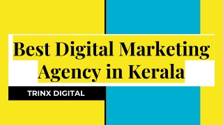Best Digital Marketing Agency in Kerala