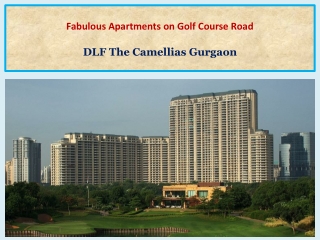 DLF The Camellias for Rent in Gurugram | 5 BHK Apartment