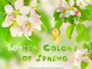 Lovely Colors of Spring (4)