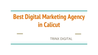 Best Digital Marketing Agency in Calicut