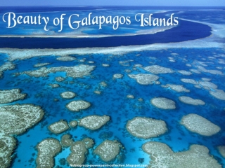 Beauty of Galapagos Islands