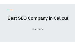 Best SEO Company in Calicut _ 2022 - 2023
