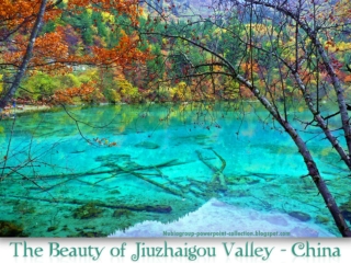 Beauty of Jiuzhaigou Valley - China