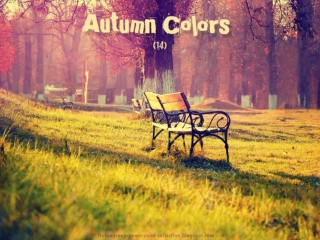 Autumn Colors (14)