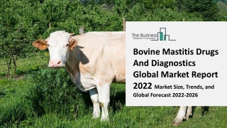 Bovine Mastitis Drugs And Diagnostics Market By Product, End-User Type, Region, Global Market Opportunities and Strategi