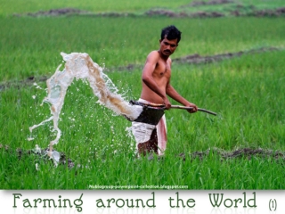 Farming around the World (1)