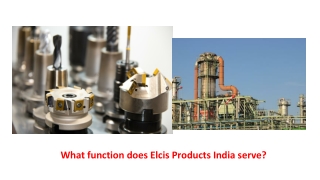 What function does elcis products India serve