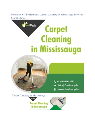 Providers Of Professional Carpet Cleaning in Mississauga Services On The Spot