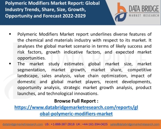 Polymeric Modifiers Market