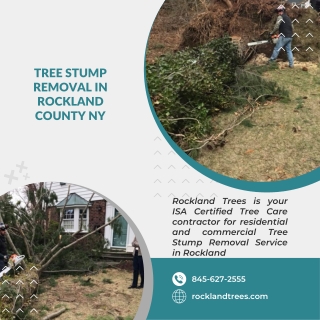Stump Removal Services in Rockland NY