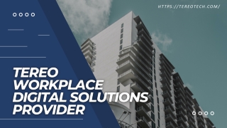Tereo Tech Workplace Digital Solutions