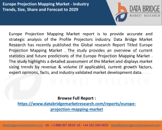 Europe Projection Mapping Market report
