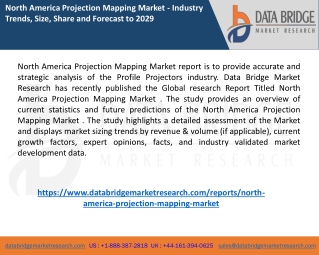 North America Projection Mapping Market report