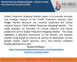 Projection Mapping Market report