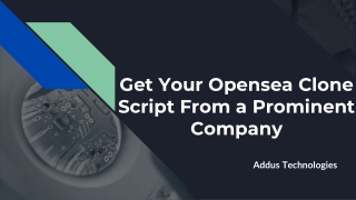 Where You Can Get a Opensea Clone Script